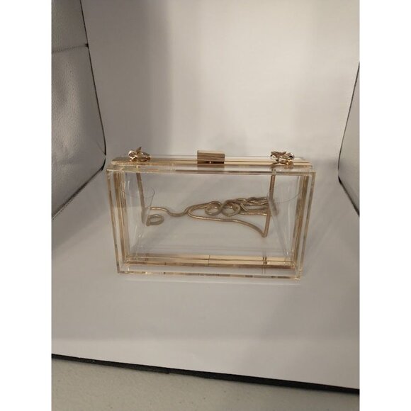 Transparent Acrylic Clutch Purse With Gold Chain Strap & Clasp - Picture 1 of 11